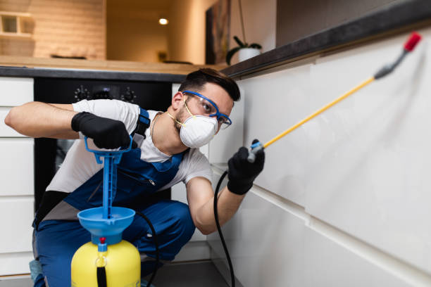 Best Best Pest Control Companies  in Olathe, KS