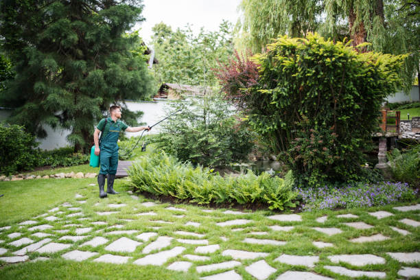 Best Mosquito Control Services  in Olathe, KS