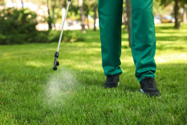 Best Termite Control Services  in Olathe, KS