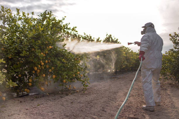 Best Local Pest Control Services  in Olathe, KS