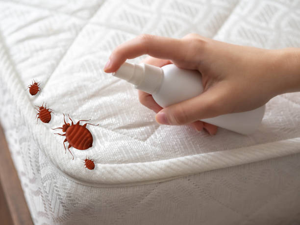 Best Pest Inspection Near Me  in Olathe, KS