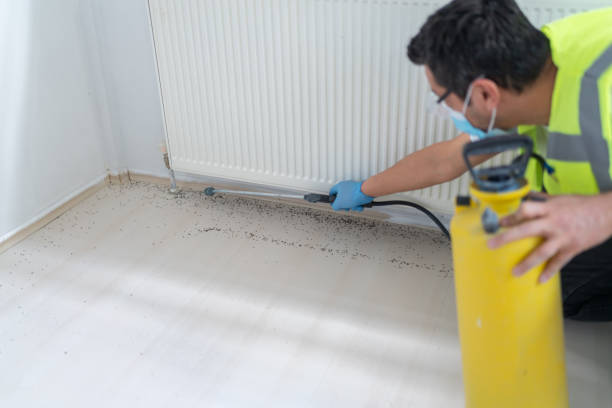 Best Residential Pest Control  in Olathe, KS